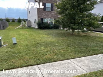 Grass Cutting nearby Murfreesboro, TN, 