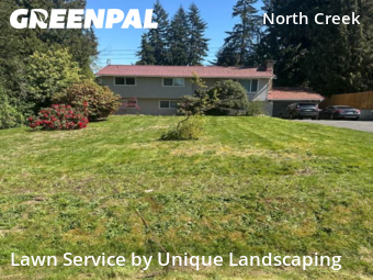 Lawn Cut nearby Bothell, WA, 