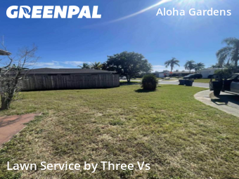 Lawn Work in Holiday, 34691, Grass Care by Three Vs , work completed in Nov , 2025
