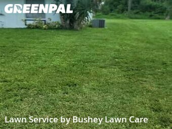 Grass Cut nearby Port Charlotte, FL, 