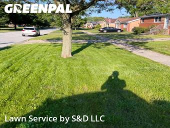 Yard Mowing nearby Tinley Park, IL, 