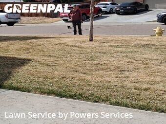 Yard Cutting nearby Thornton, CO, 