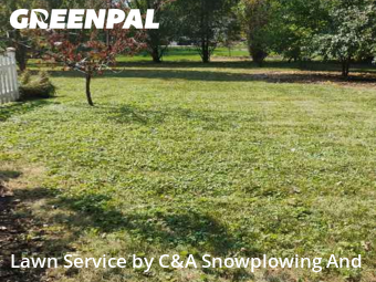 Yard Mowingin Arlington Heights,60004,Lawn Mow by C&A Snowplowing And , work completed in Feb , 2026