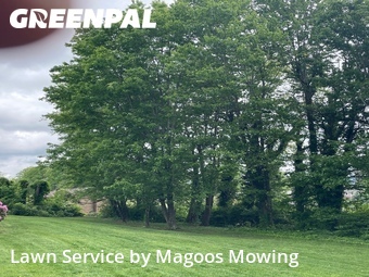 Grass Cutting nearby Bristol, TN, 