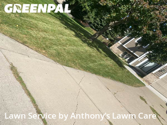 Grass Cut nearby Maple Grove, MN, 