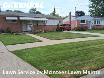 Grass Cut nearby Southgate, MI, 