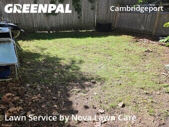 Lawn mowed in Cambridge, 2139