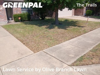 Grass Cut nearby Fort Worth, TX, 