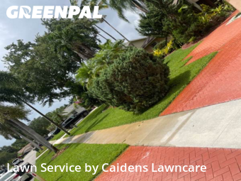 Lawn Mowing Servicein Pembroke Pines,33029,Yard Cutting by Caidens Lawncare , work completed in Jan , 2026
