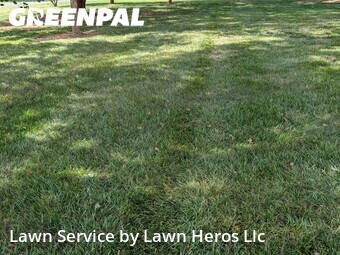Grass Cutting nearby Summerfield, NC, 