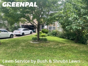 Lawn Cutting nearby Fairview, TN, 