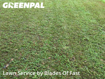 Lawn Care nearby Atlanta, GA, 