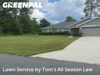 Yard Cutting nearby Spring Hill, FL, 
