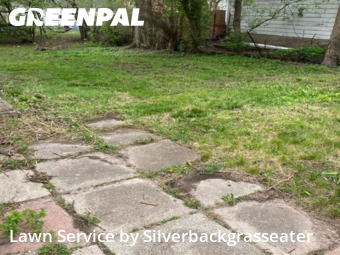 Yard Mowing nearby White Lake Township, MI, 