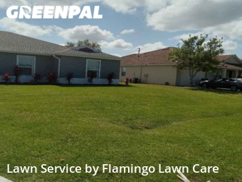 Lawn Cutting nearby Punta Gorda, FL, 