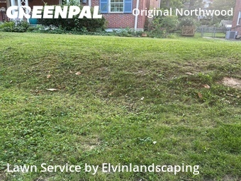 Grass Cut nearby Baltimore, MD, 