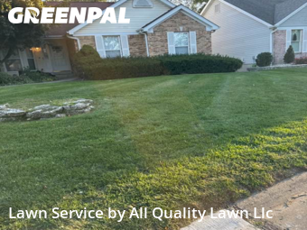 Grass Cutting nearby St. Peters, MO, 