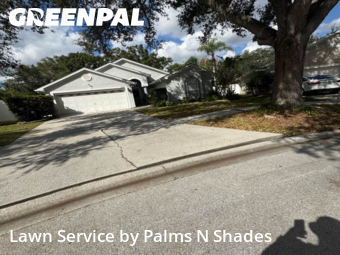 Grass Cut nearby Tampa, FL, 