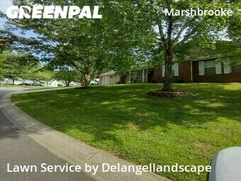 Lawn Care nearby Matthews, NC, 