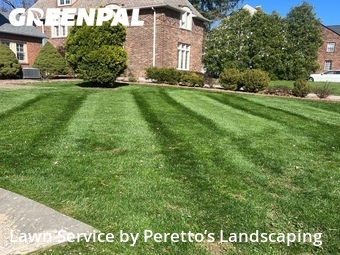 Grass Cut nearby Shaker Heights, OH, 