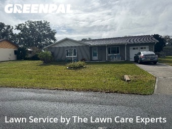 Lawn Maintenancein Lakeland,33813,Lawn Mow by The Lawn Care Experts, work completed in Feb , 2026
