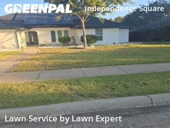 Lawn Cuttingin Plano,75023,Lawn Cutting by Lawn Expert, work completed in Oct , 2025