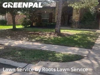 Lawn Maintenance nearby Spring, TX, 