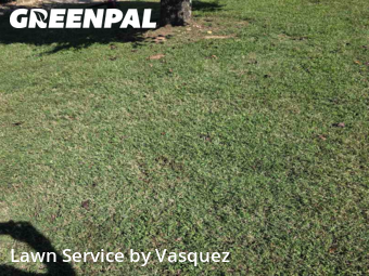 Lawn Care nearby Nashville, TN, 