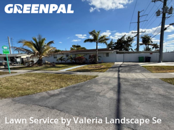 Grass Cut nearby Miami, FL, 