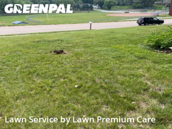 Lawn Cutting nearby Bellevue, NE, 