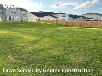 Lawn Cutting nearby Lexington, SC, 