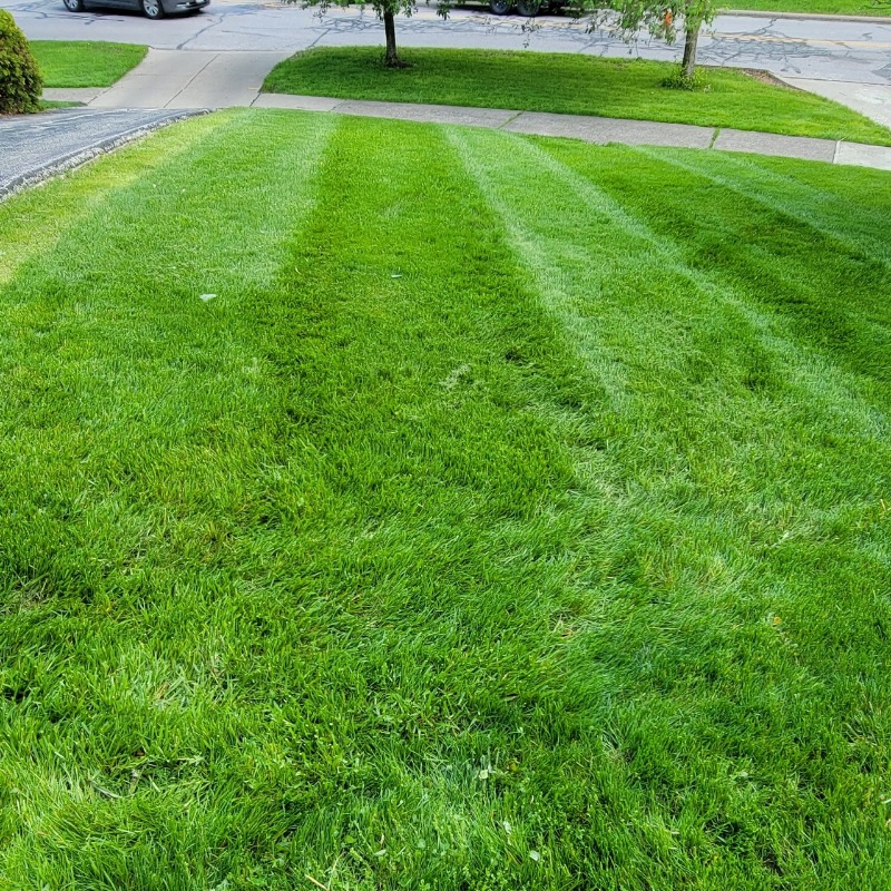 Order Lawn Care in Painesville, OH, 44077