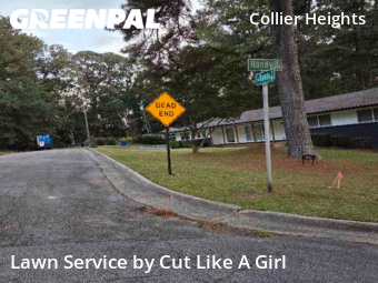 Yard Mowing nearby Atlanta, GA, 