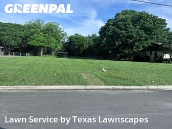 Lawn Care nearby Allen, TX, 