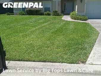 Grass Cut nearby Altamonte Springs, FL, 
