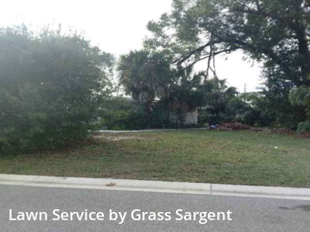Yard Cuttingin Largo,33774,Yard Cutting by Grass Sargent, work completed in Jan , 2026
