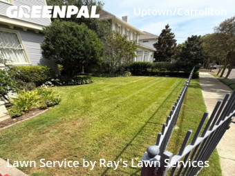 Grass Cut nearby New Orleans, LA, 