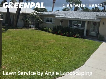 Yard Cutting nearby Clearwater, FL, 