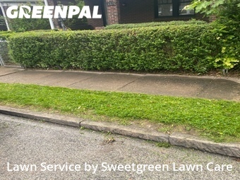 Grass Cut nearby Pittsburgh, PA, 