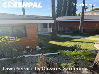 Affordable Landscaping Maintenance Services In Glendale,91202,Landscaping Cleanup by Olivares Gardening , work completed in Feb , 2026