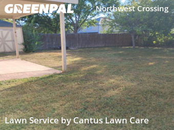 Yard Cutting nearby San Antonio, TX, 