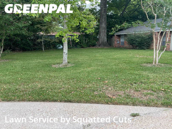 Yard Cutting nearby Lafayette, LA, 