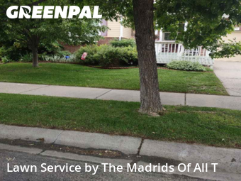 Grass Cutting nearby Timnath, CO, 