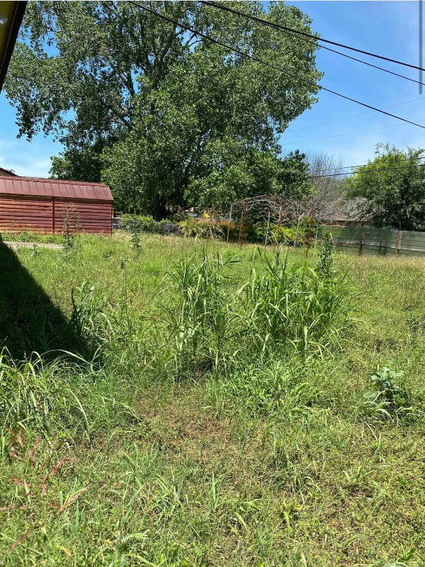 Cw Pest And Lawn Ser Lawn Care Services in Killeen, TX