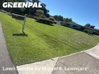 Grass Cutting nearby Orlando, FL, 