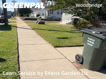 Grass Cut nearby Woodbridge Township, NJ, 