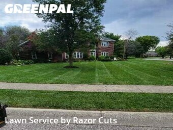 Lawn Mow nearby Indianapolis, IN, 