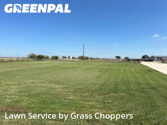 Lawn Mow nearby Krum, TX, 