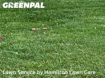 Lawn Care Service nearby Fortville, IN, 