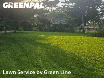 Grass Cut nearby Downers Grove, IL, 